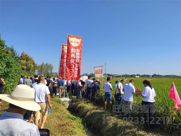 新興隆，新氣象，新未來——記興隆湖南韻兩優332省級觀摩會在常德漢壽圓滿召開