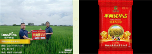 湖南興隆種業有限公司,長沙稻谷種植與銷售,長沙農作物品種的選育,長沙農業病蟲害防治服務