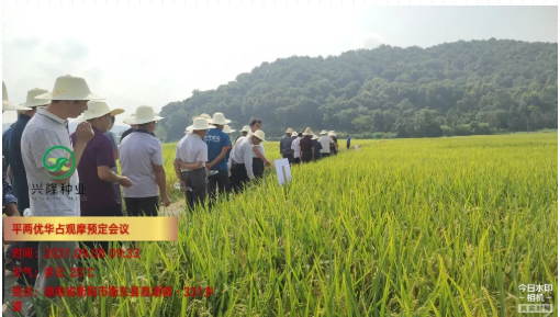 湖南興隆種業(yè)有限公司,長沙稻谷種植與銷售,長沙農(nóng)作物品種的選育,長沙農(nóng)業(yè)病蟲害防治服務