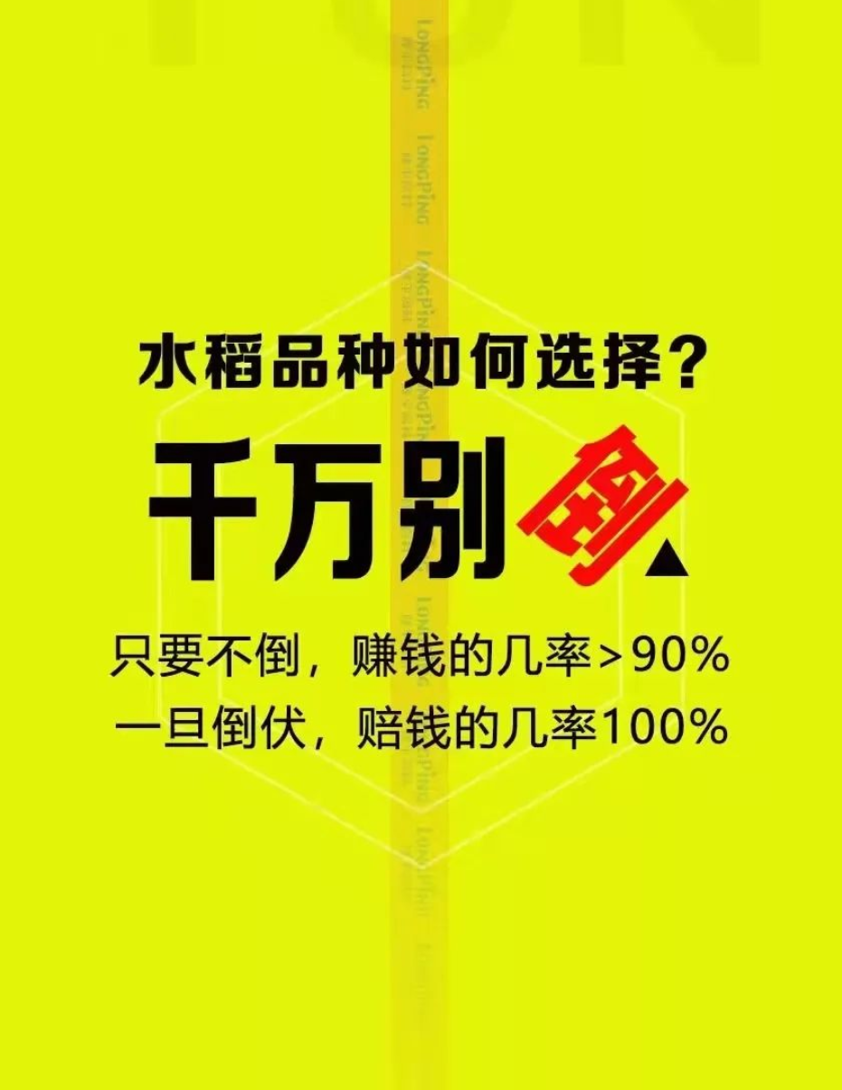 湖南興隆種業(yè)有限公司,長(zhǎng)沙稻谷種植與銷售,長(zhǎng)沙農(nóng)作物品種的選育,長(zhǎng)沙農(nóng)業(yè)病蟲害防治服務(wù)